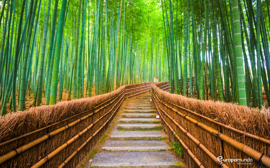 Circuito para as férias do meio do ano: Japão.